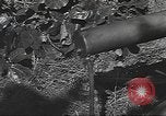 Image des soldats américains United States USA, 1942, de la seconde 49 séquences d'archives historiques vidéo 65675064544