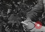 Immagine di Soldati americani United States USA, 1942, secondo 50 filmato di repertorio 65675064549