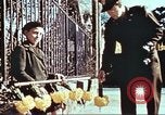Immagine di Figli francesi Francia, 1945, secondo 51 filmato di repertorio 65675064559