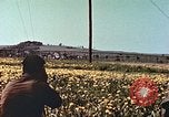 Image of United States soldiers Europe, 1945, second 44 stock footage video 65675064579