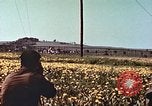 Image of United States soldiers Europe, 1945, second 45 stock footage video 65675064579