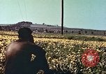 Image of United States soldiers Europe, 1945, second 53 stock footage video 65675064579