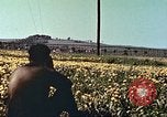 Image of United States soldiers Europe, 1945, second 54 stock footage video 65675064579