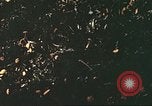Image of United States soldiers Europe, 1945, second 58 stock footage video 65675064579