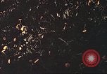 Image of United States soldiers Europe, 1945, second 60 stock footage video 65675064579