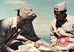 Image of Commander Woolson Peleliu Palau Islands, 1944, second 12 stock footage video 65675064590
