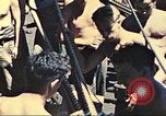 Image of United States Marines Peleliu Palau Islands, 1944, second 61 stock footage video 65675064592