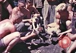 Image of United States Marines Guam Mariana Islands, 1944, second 39 stock footage video 65675064595