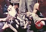 Image of United States Marines Guam Mariana Islands, 1944, second 55 stock footage video 65675064595