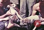 Image of United States Marines Guam Mariana Islands, 1944, second 58 stock footage video 65675064595