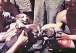 Image of United States Marines Guam Mariana Islands, 1944, second 62 stock footage video 65675064595