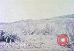 Image of United States Marines Guam Mariana Islands, 1944, second 40 stock footage video 65675064597