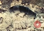 Image of United States Marines Guam Mariana Islands, 1944, second 3 stock footage video 65675064598