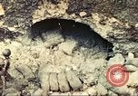 Image of United States Marines Guam Mariana Islands, 1944, second 8 stock footage video 65675064598