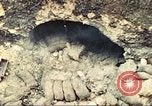 Image of United States Marines Guam Mariana Islands, 1944, second 31 stock footage video 65675064598