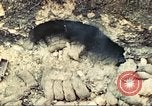 Image of United States Marines Guam Mariana Islands, 1944, second 32 stock footage video 65675064598