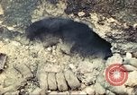 Image of United States Marines Guam Mariana Islands, 1944, second 35 stock footage video 65675064598