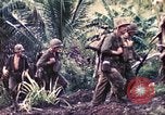 Image of United States Marines Guam Mariana Islands, 1944, second 54 stock footage video 65675064598