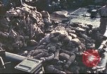 Immagine di Stati Uniti Marines Guam Isole Marianne, 1944, secondo 1 filmato di repertorio 65675064599
