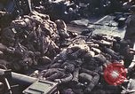 Immagine di Stati Uniti Marines Guam Isole Marianne, 1944, secondo 8 filmato di repertorio 65675064599