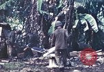 Image des Marines des États-Unis Guam Îles Mariannes, 1944, de la seconde 3 séquences d'archives historiques vidéo 65675064600