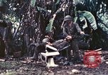 Image des Marines des États-Unis Guam Îles Mariannes, 1944, de la seconde 22 séquences d'archives historiques vidéo 65675064600