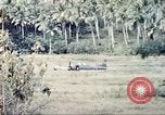 Immagine di Stati Uniti Marines Guam Isole Marianne, 1944, secondo 11 filmato di repertorio 65675064601