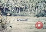 Immagine di Stati Uniti Marines Guam Isole Marianne, 1944, secondo 12 filmato di repertorio 65675064601