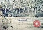 Immagine di Stati Uniti Marines Guam Isole Marianne, 1944, secondo 20 filmato di repertorio 65675064601