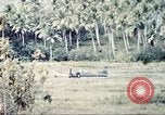 Immagine di Stati Uniti Marines Guam Isole Marianne, 1944, secondo 21 filmato di repertorio 65675064601