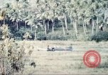 Immagine di Stati Uniti Marines Guam Isole Marianne, 1944, secondo 24 filmato di repertorio 65675064601