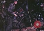 Immagine di Stati Uniti Marines Guam Isole Marianne, 1944, secondo 54 filmato di repertorio 65675064601