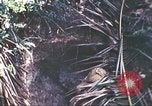 Immagine di Stati Uniti Marines Guam Isole Marianne, 1944, secondo 61 filmato di repertorio 65675064601