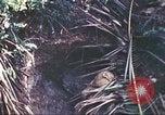 Immagine di Stati Uniti Marines Guam Isole Marianne, 1944, secondo 62 filmato di repertorio 65675064601