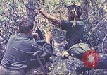 Standbild Vereinigten Staaten Marines Guam Marianen, 1944, aus Sekunde 1 historischem Filmmaterial Videoclip 65675064603