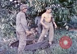 Immagine di Stati Uniti Marines Guam Isole Marianne, 1944, secondo 19 filmato di repertorio 65675064604