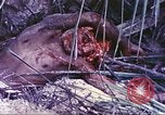 Image of United States Marines Guam Mariana Islands, 1944, second 28 stock footage video 65675064605