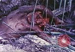 Image of United States Marines Guam Mariana Islands, 1944, second 29 stock footage video 65675064605