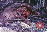 Image of United States Marines Guam Mariana Islands, 1944, second 30 stock footage video 65675064605