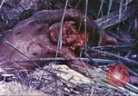 Image of United States Marines Guam Mariana Islands, 1944, second 31 stock footage video 65675064605