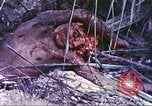 Image of United States Marines Guam Mariana Islands, 1944, second 32 stock footage video 65675064605