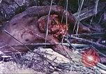 Image of United States Marines Guam Mariana Islands, 1944, second 33 stock footage video 65675064605