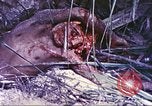 Image of United States Marines Guam Mariana Islands, 1944, second 34 stock footage video 65675064605
