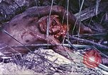 Image of United States Marines Guam Mariana Islands, 1944, second 35 stock footage video 65675064605