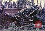 Image of United States Marines Guam Mariana Islands, 1944, second 39 stock footage video 65675064605