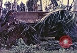 Image of United States Marines Guam Mariana Islands, 1944, second 40 stock footage video 65675064605