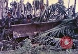 Image of United States Marines Guam Mariana Islands, 1944, second 45 stock footage video 65675064605