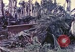Image of United States Marines Guam Mariana Islands, 1944, second 47 stock footage video 65675064605