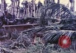 Image of United States Marines Guam Mariana Islands, 1944, second 48 stock footage video 65675064605