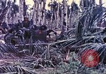 Image of United States Marines Guam Mariana Islands, 1944, second 51 stock footage video 65675064605